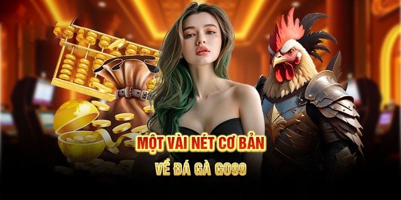 Giới thiệu đôi nét về sân chơi đá gà hấp dẫn tại Go99